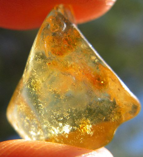 Amber Baltic Fossil Sap Specimen Polished Mineral Gemstones Crystal 