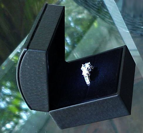   BLACK LEATHER Lighted LED Engagement Proposal RING Gift Box  