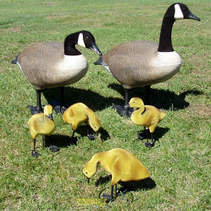 BIGFOOT BIG FOOT CANADA GOOSE DECOYS YARD LAWN DECOR ORNAMENT+4 