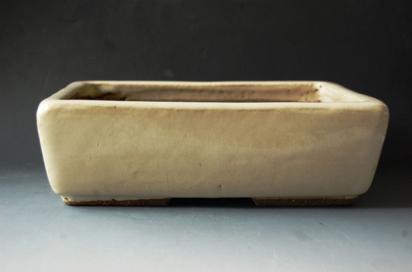 Japanese bonsai pot by Ejiri Taizan rectangle large3 cream 