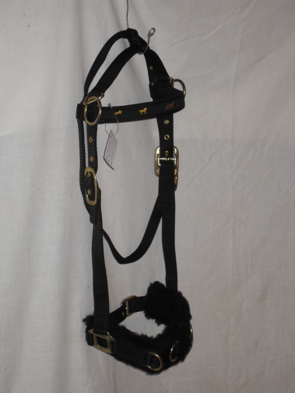 NEW BLACK NYLON LUNGE CAVESON (RUNNING HORSES) SIZ FULL  