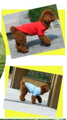 Pet Dog Clothes Apparel T Shirt XS S M L Random Color  