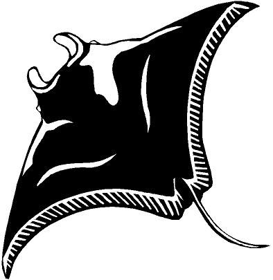 Manta Ray Vinyl Decal Car Cycle Truck Window Sticker  