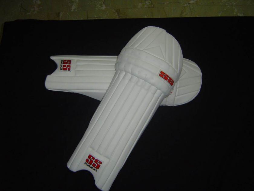 SS CRICKET BAT + PAD + GLOVES + HELMET ~~~ WITH FREE ~~~ KIT BAG 