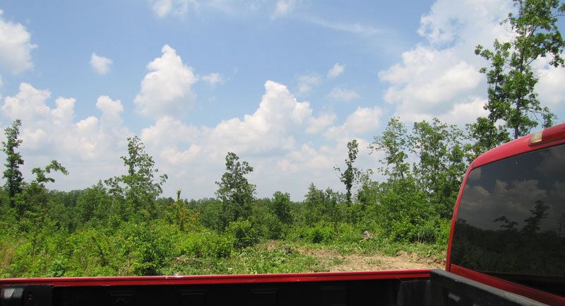   The driveway and building/camping site have since grown up into grass