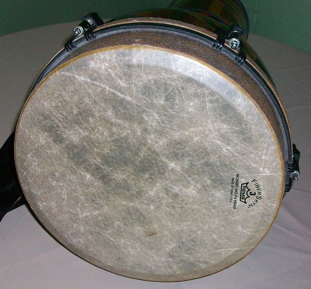 Remo Paulo Mattioli Signature Djembe 24x12  