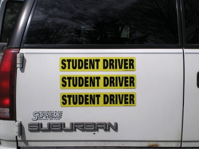 driver in training drivers permit drivers permits learners permit 