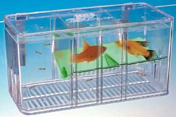 Penn Plax Aquarium Five Plus Breeder/Nursery Tank BT5  