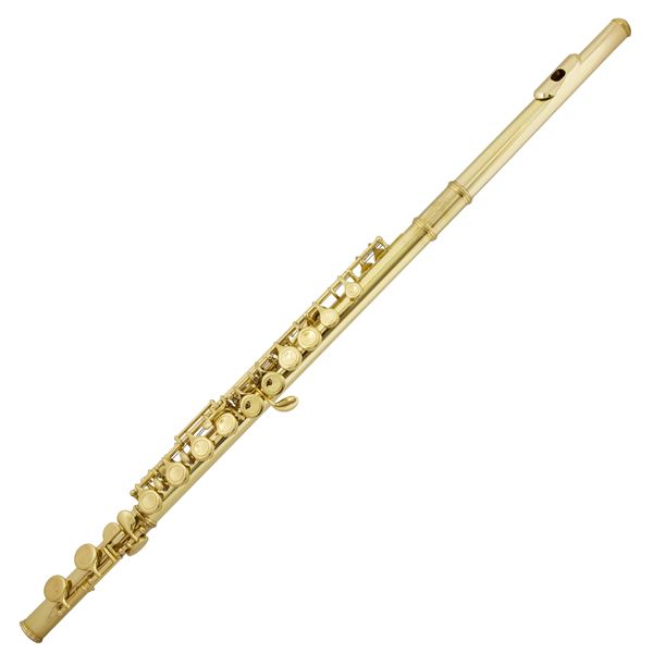 Cecilio 2Series C Flute Gold Lacquer Closed Hole +Tuner  