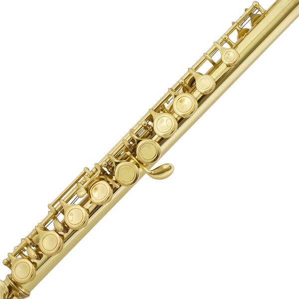 Cecilio 2Series C Flute Gold Lacquer Closed Hole +Tuner  